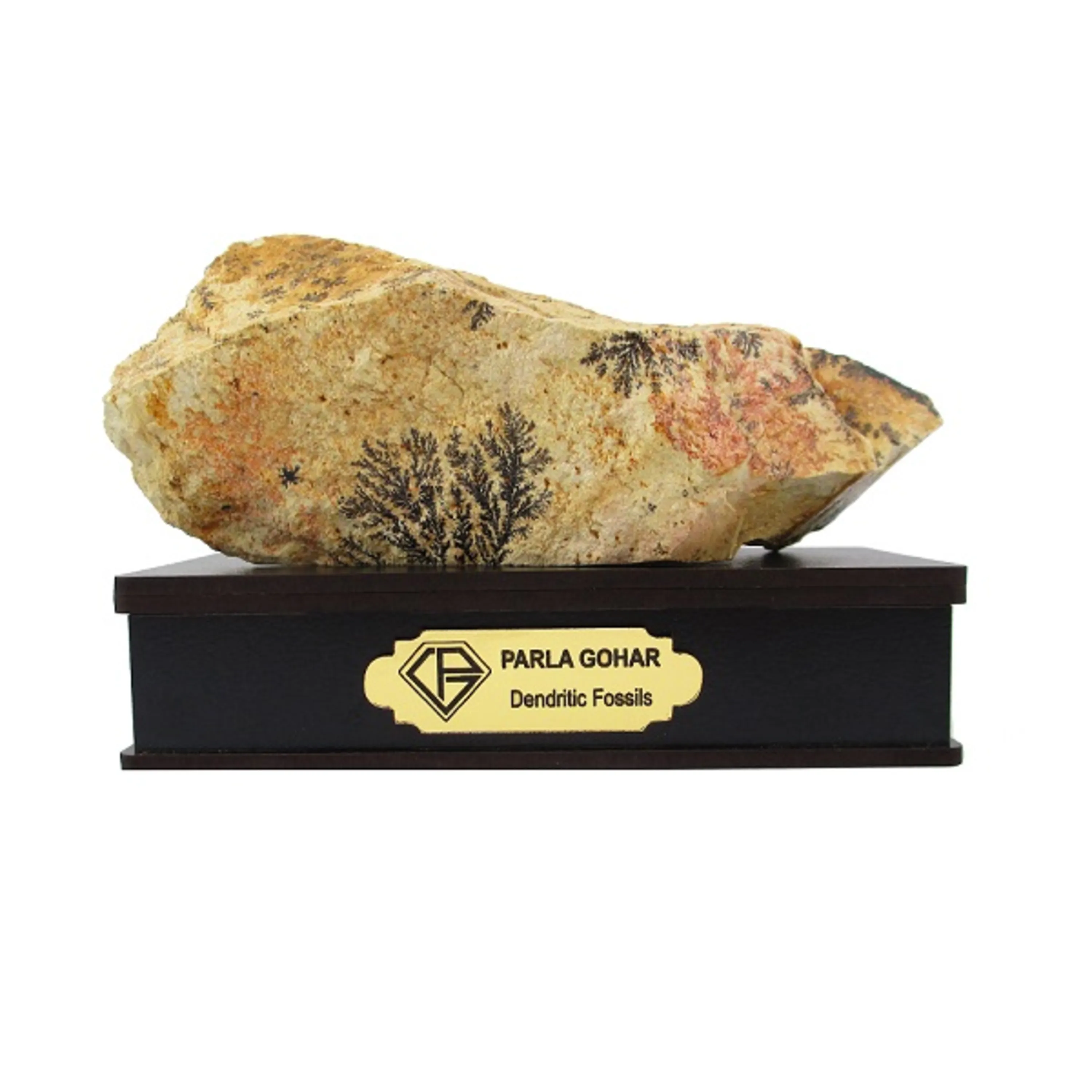 شجر راف کد 2355